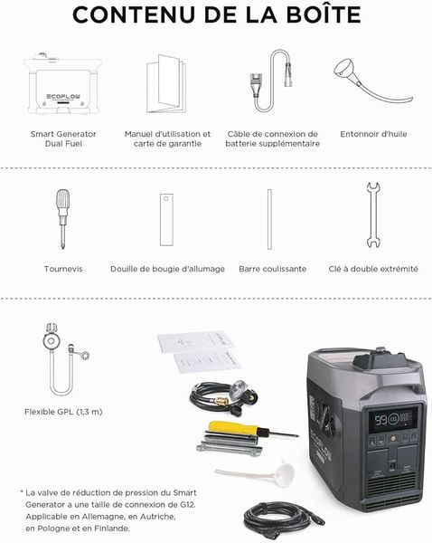 EcoFlow Smart Generator Dual Fuel 230 V 1800 W ec30002 фото